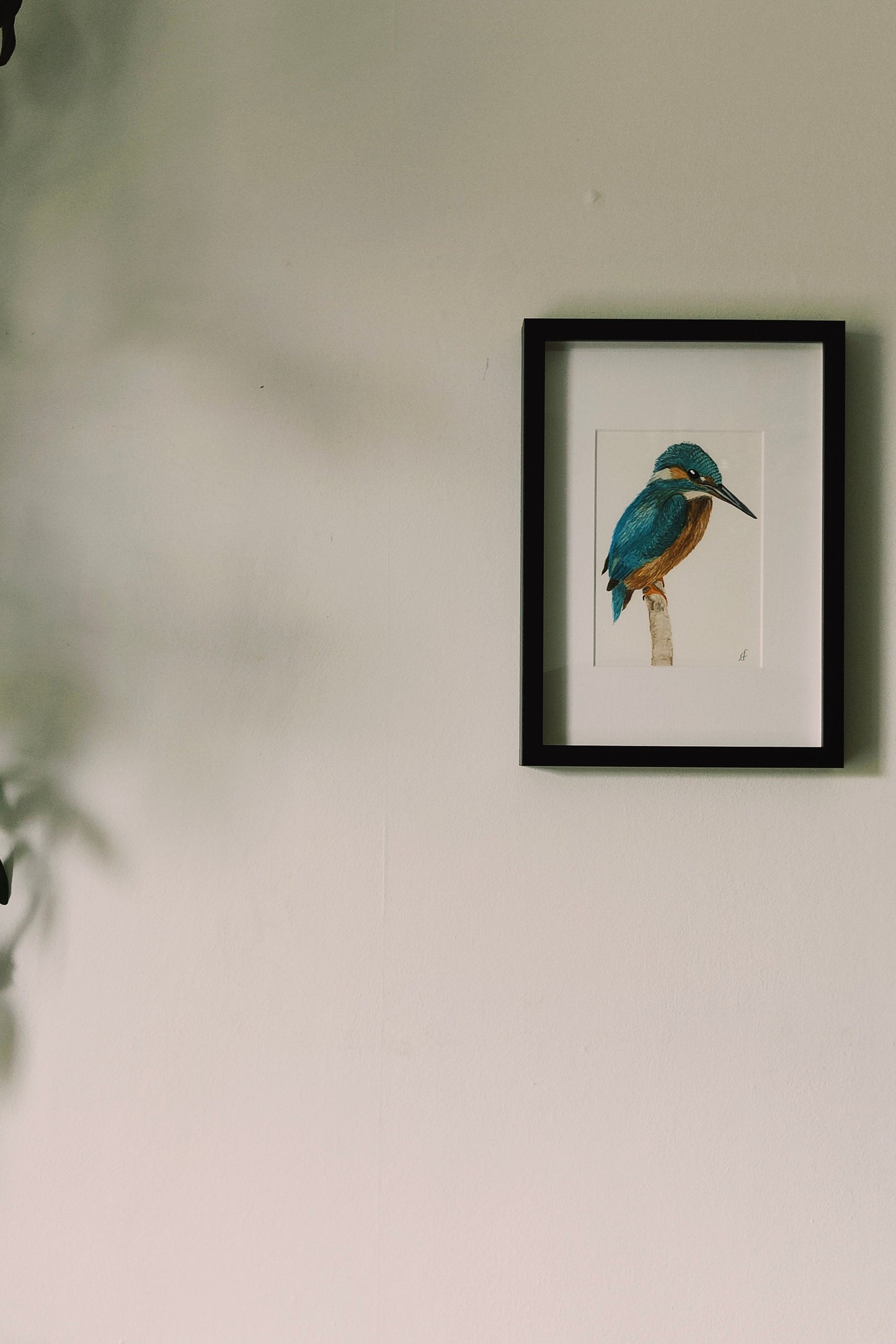 Kingfisher framed painting on a wall