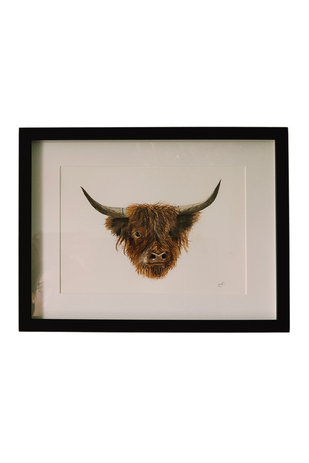 Highland Cow Watercolour Print