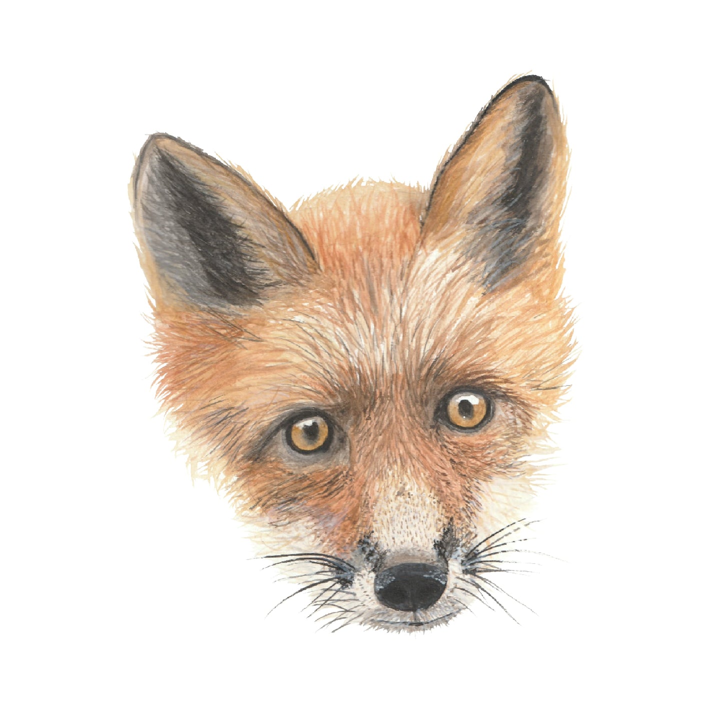 Fox Watercolour Print