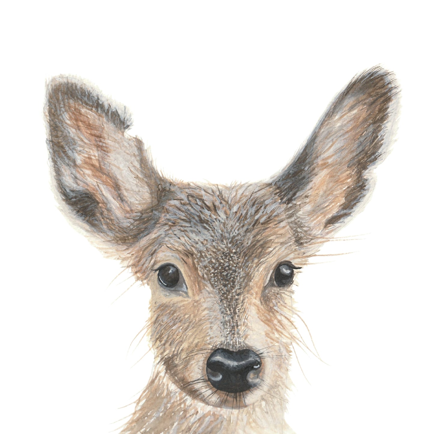 Deer Watercolour Print