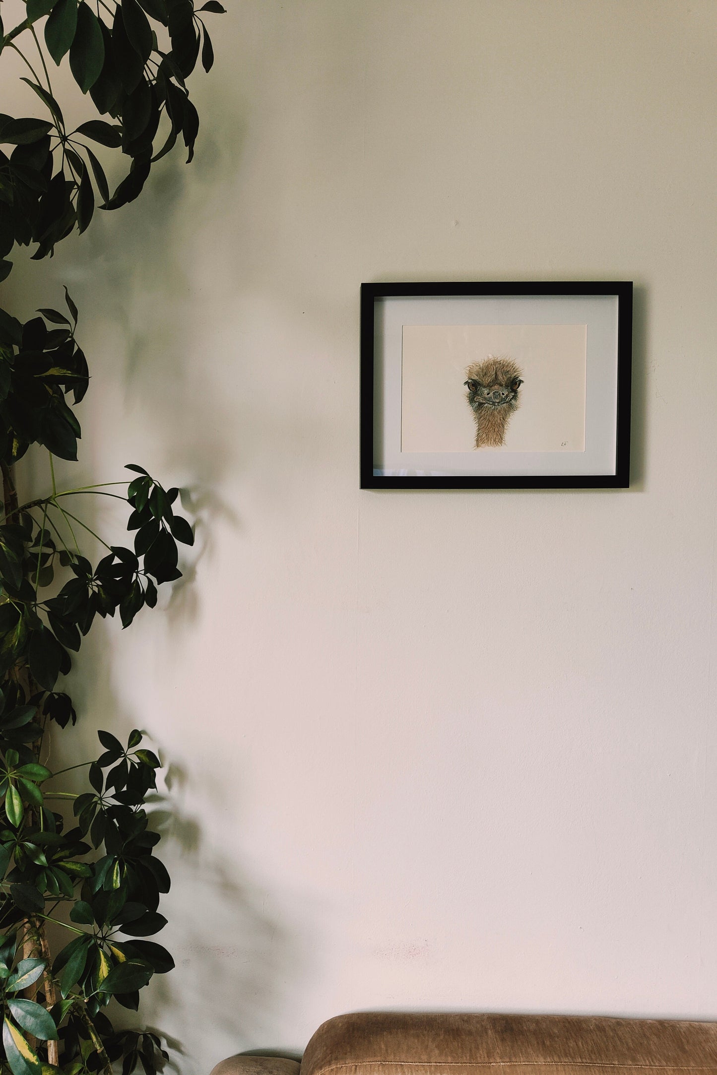 Ostrich painting on a wall