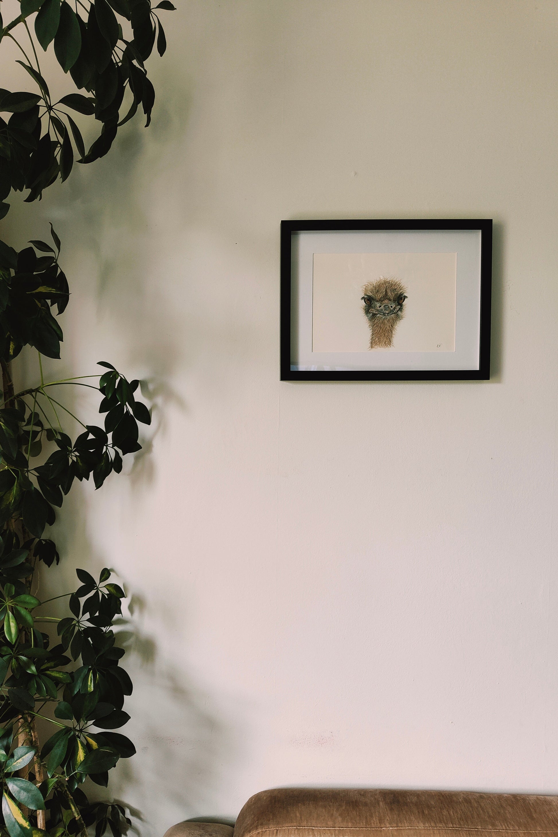 Ostrich painting on a wall
