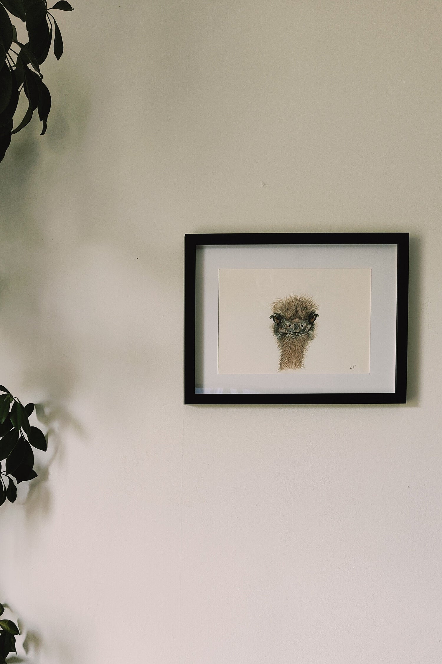 framed ostrich painting on a wall with a plant next to it