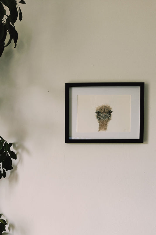framed ostrich painting on a wall with a plant next to it