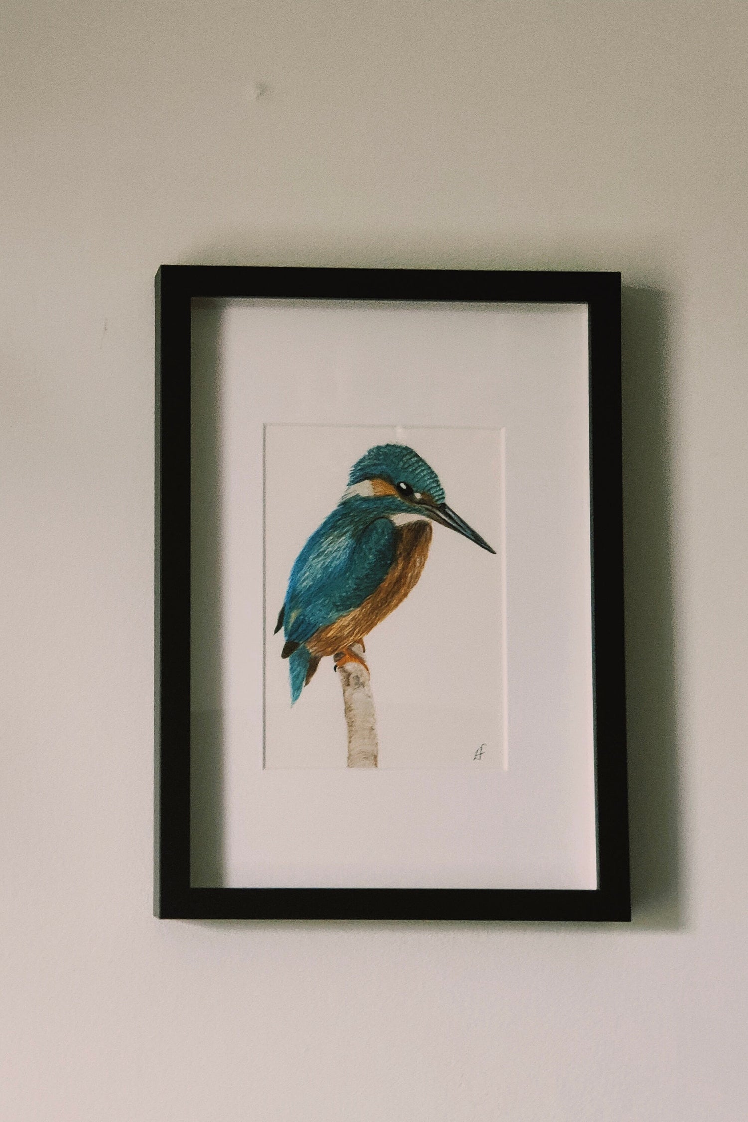 Kingfisher framed painting on a wall
