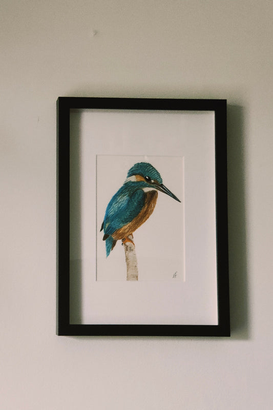 Kingfisher framed painting on a wall