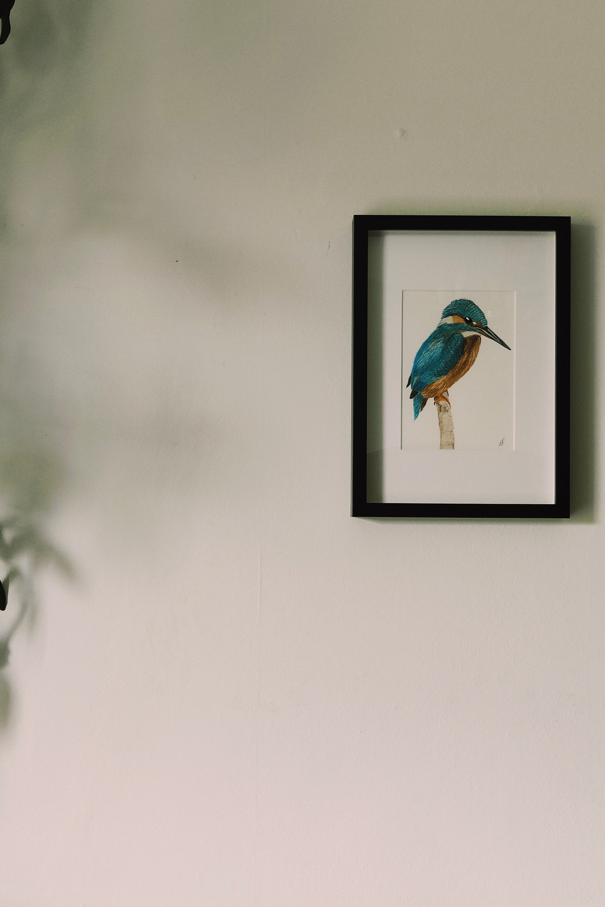 Kingfisher framed painting on a wall