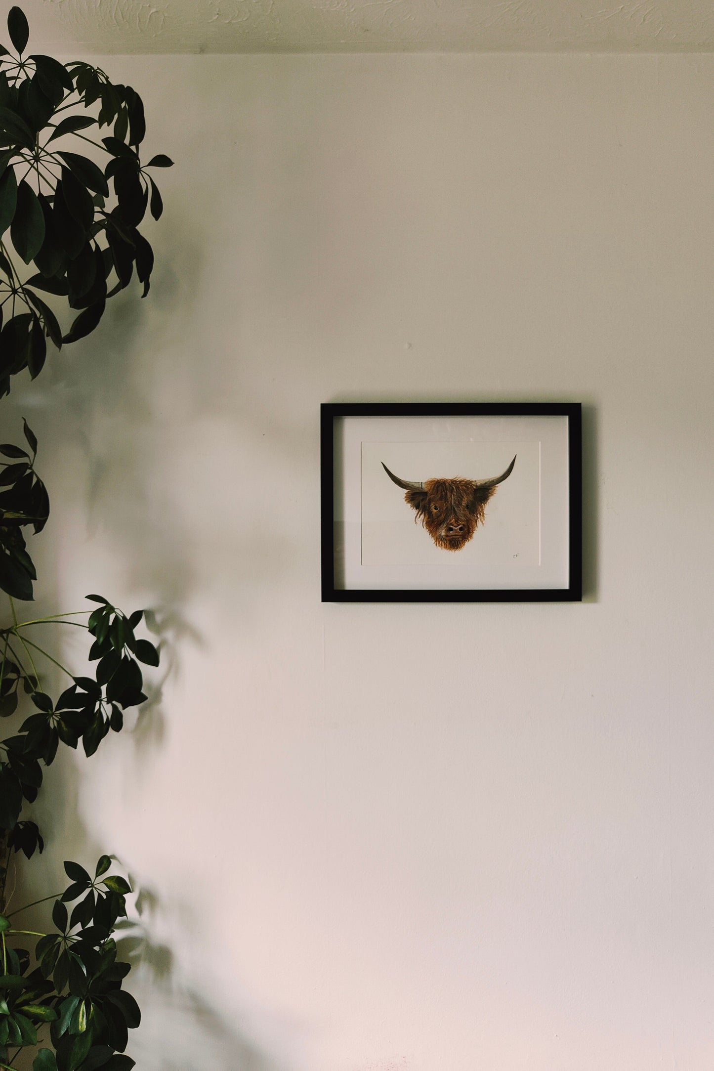 Highland Cow Watercolour Print