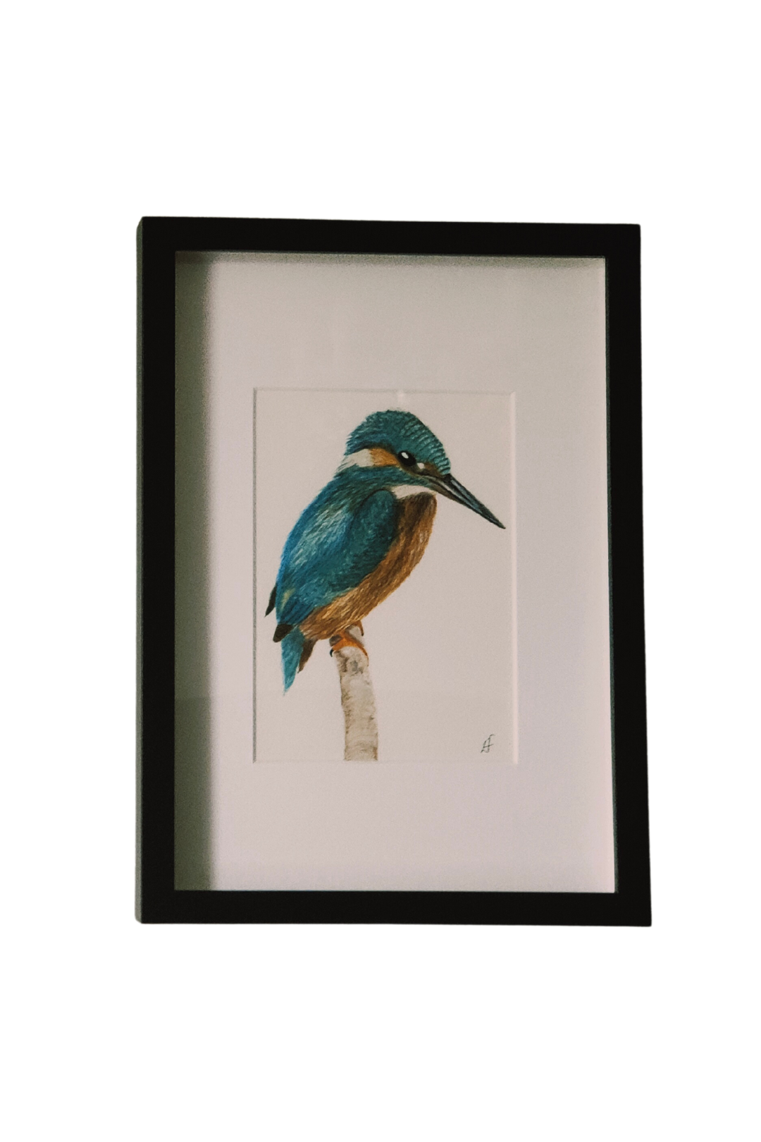 Kingfisher painting 