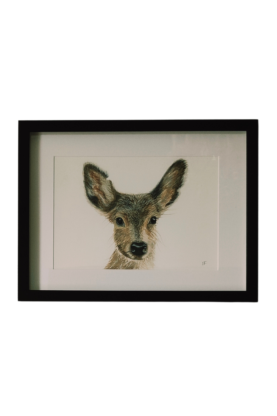 Framed Deer Watercolour Painting