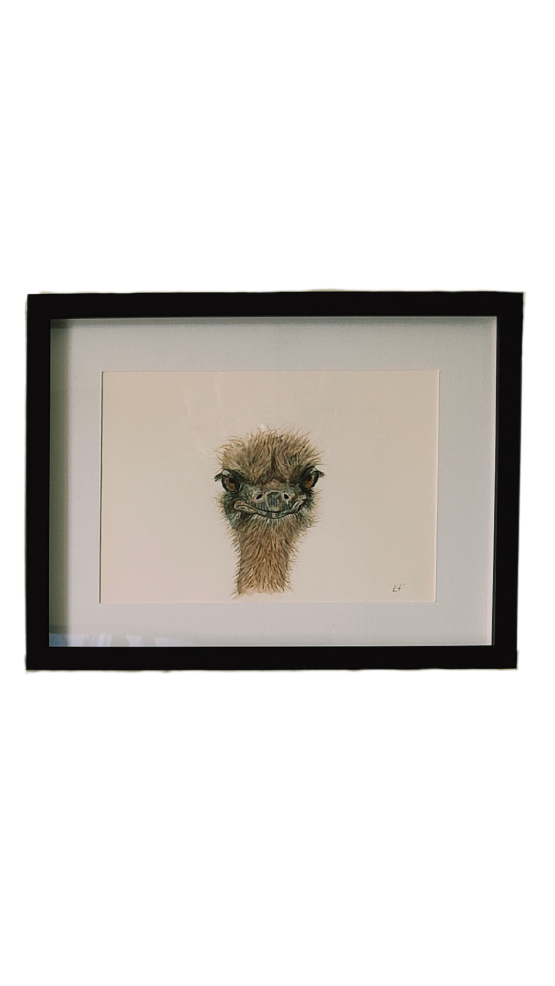 Ostrich painting in a black frame